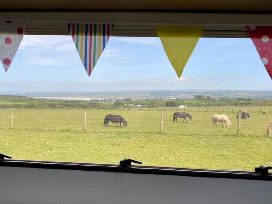 Lily Cosy Campervan With Sea Views & Amazing Sunrises St Ives  Exterior photo